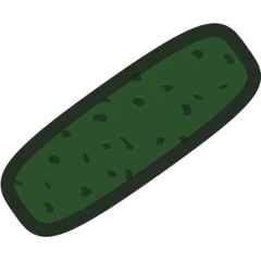 Cucumber